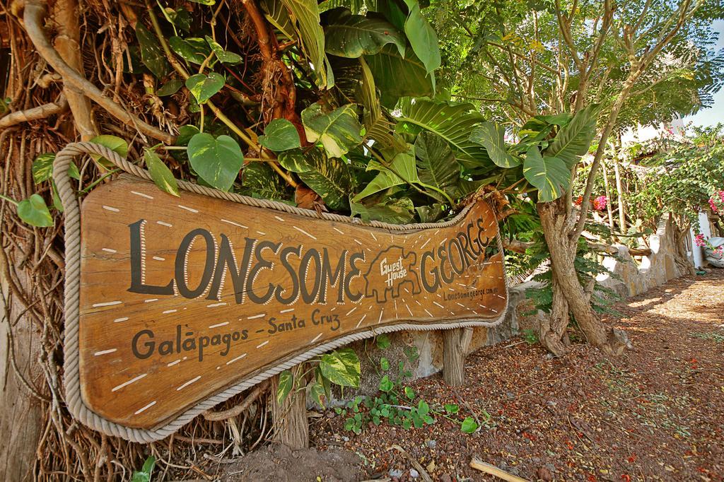 Lonesome George Ecolodge Puerto Ayora  Luaran gambar