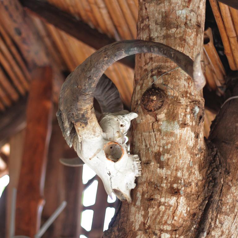 Lonesome George Ecolodge Puerto Ayora  Luaran gambar