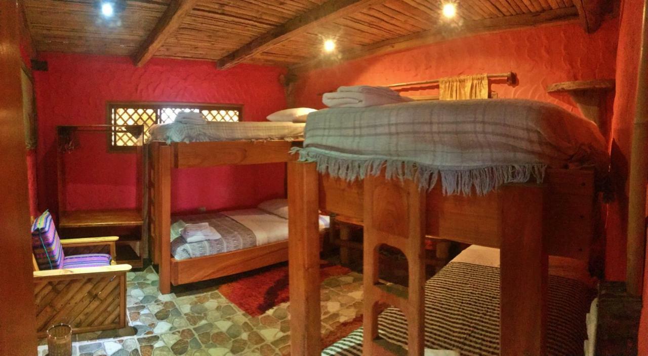 Lonesome George Ecolodge Puerto Ayora  Bilik gambar